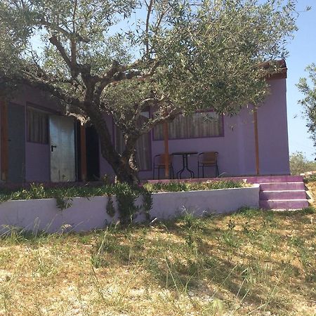Alex'S Studio Διαμέρισμα Καρτερός Εξωτερικό φωτογραφία