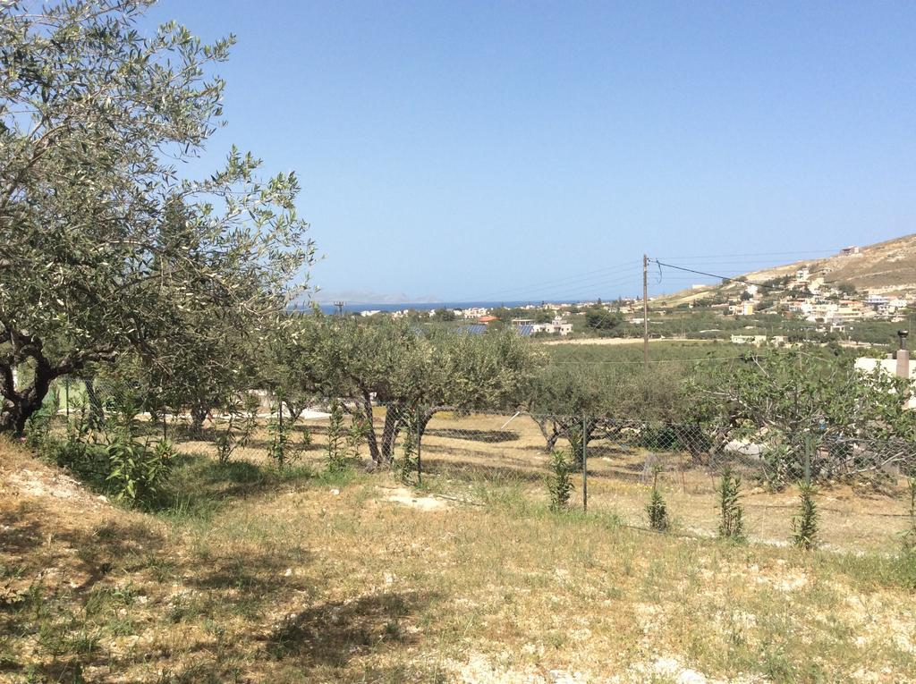Alex'S Studio Διαμέρισμα Καρτερός Εξωτερικό φωτογραφία